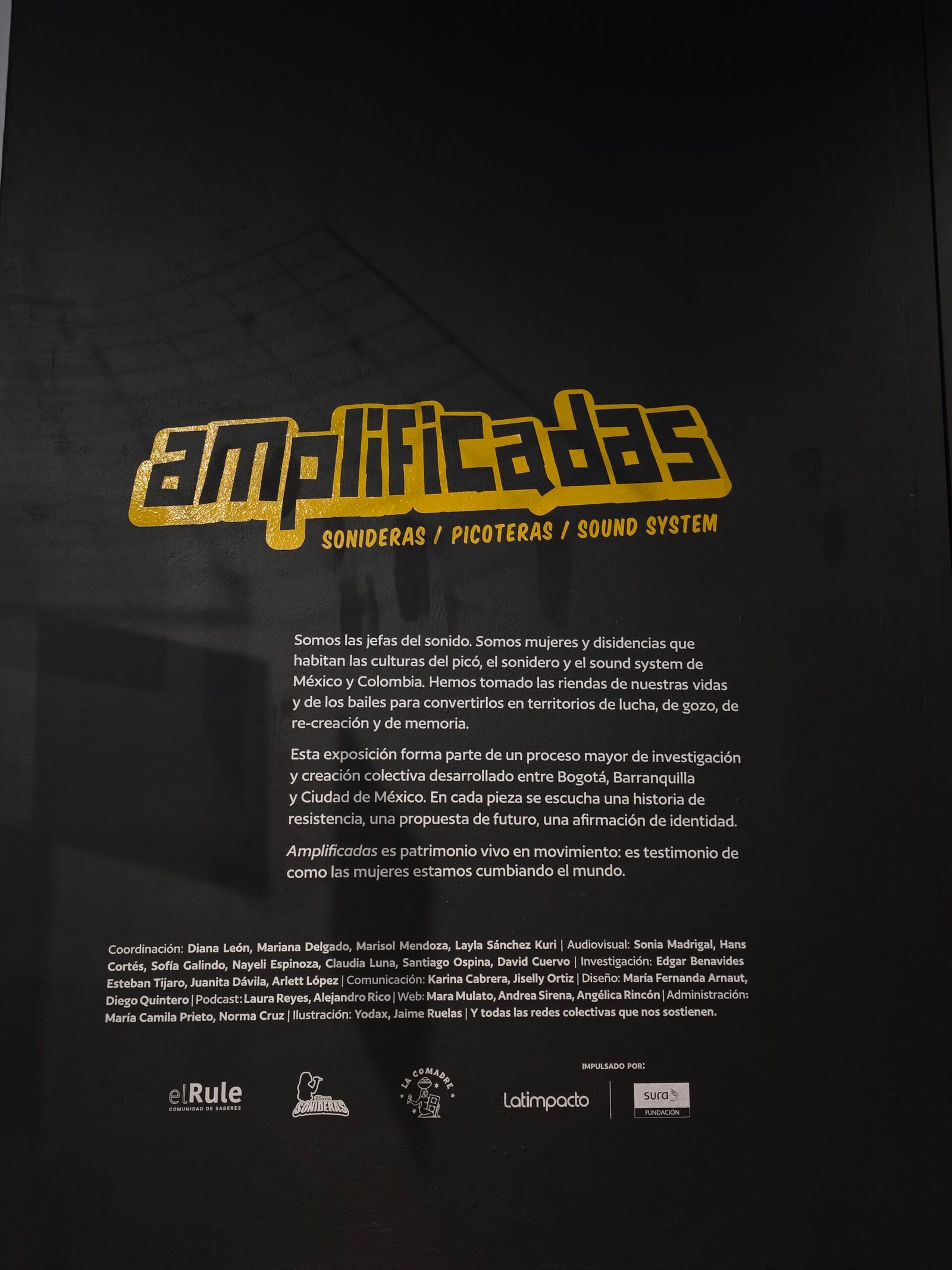 Amplificadas: Sonideras, Picoteras y Sound System